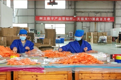 開門紅!天貓雙11首日產(chǎn)業(yè)帶“廠貨”成交額是去年17倍!