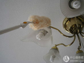 專題 美好生活,花王相伴 花王旗下日用百貨明星產(chǎn)品大盤點